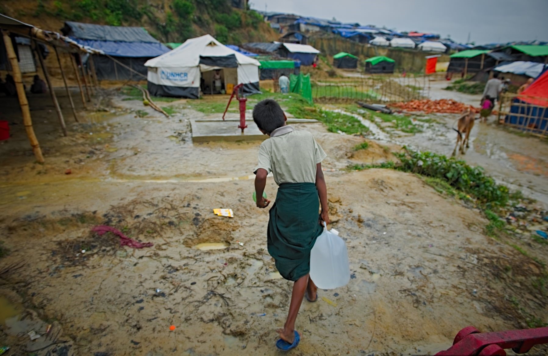 Responding globally, meeting needs locally