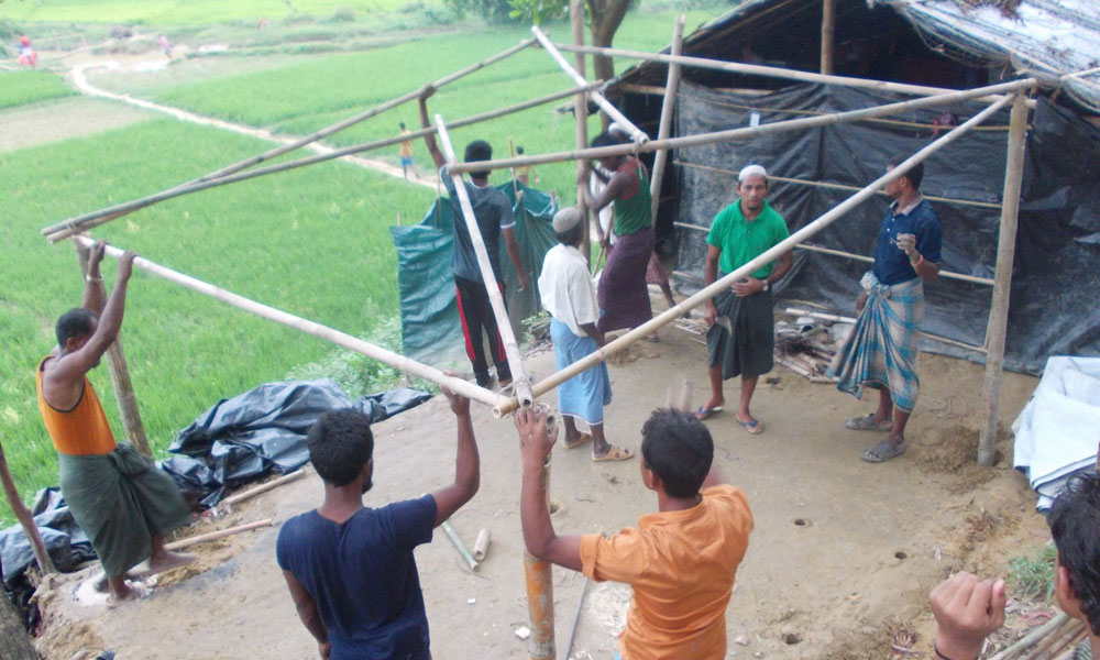 Bamboo Shelter Kit: Learning from Leonardo da Vinci